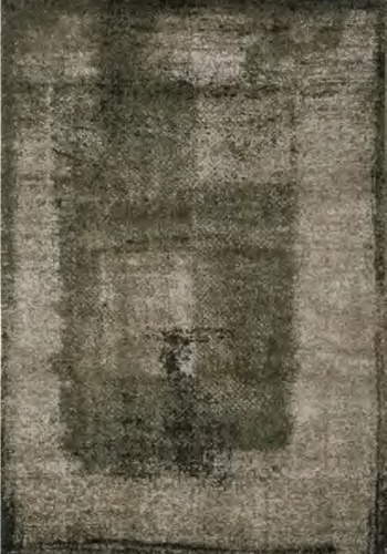 ORSO | DARKGREEN-LIGHTGREEN